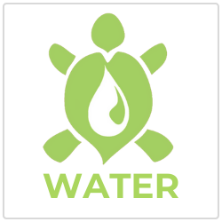 Water Turtle Icon