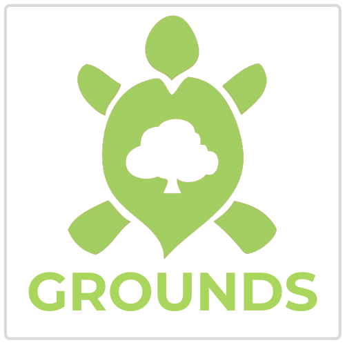 Grounds turtle icon