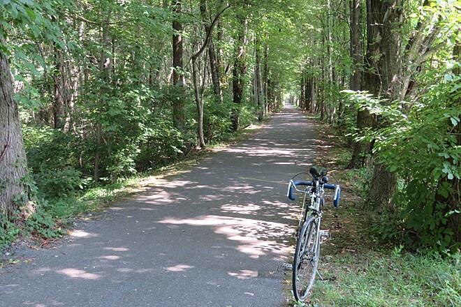 paved path through forest with bicycle
