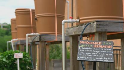 Rain Barrels