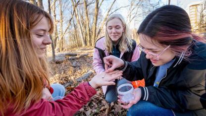 Bug Club