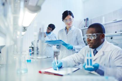 lab