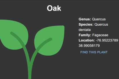 Plant of the day