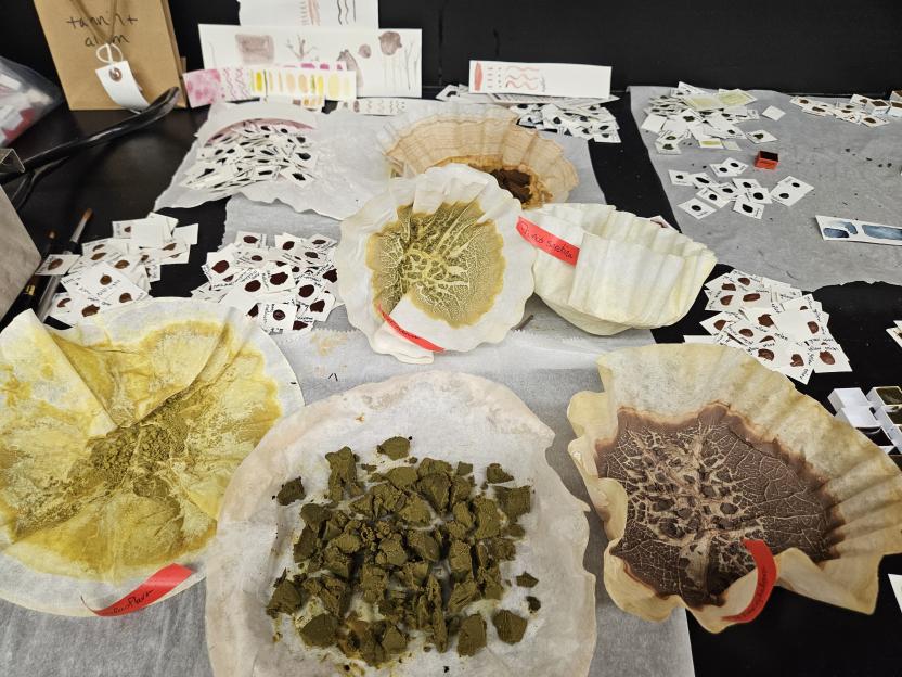 pigment process