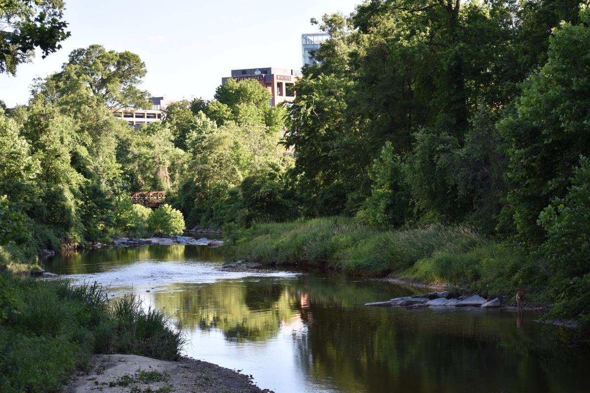 Paint Branch creek