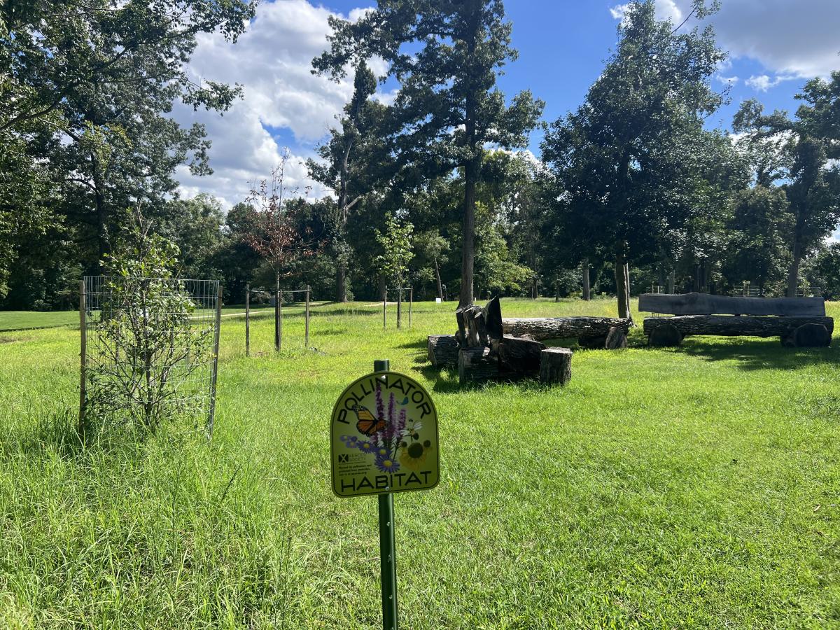 golf course