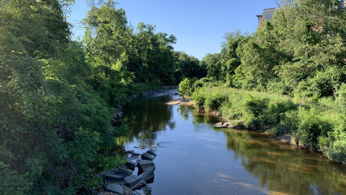 Campus creek 