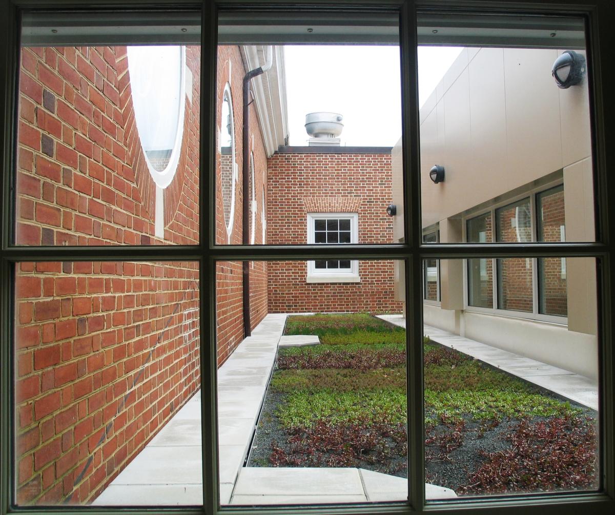 Stamp Union Green Roof