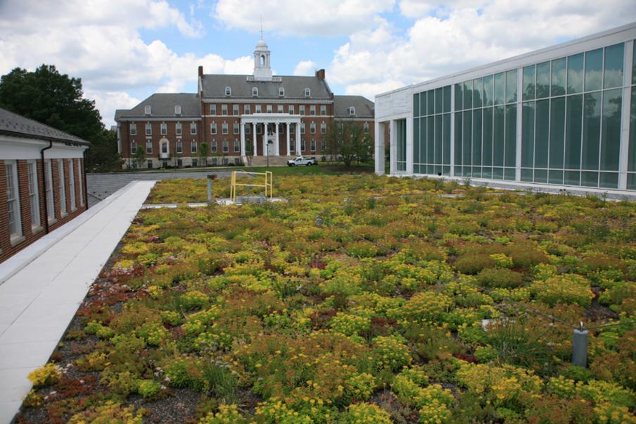 Edward St. John Green Roof