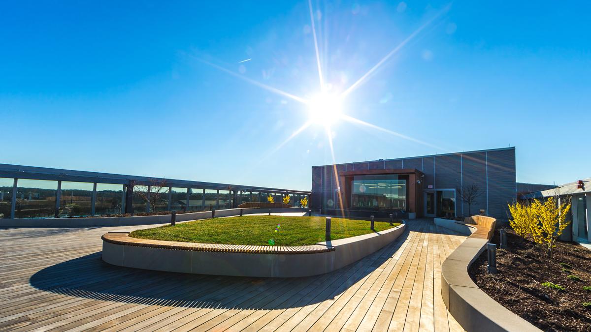 Iribe Green Roof