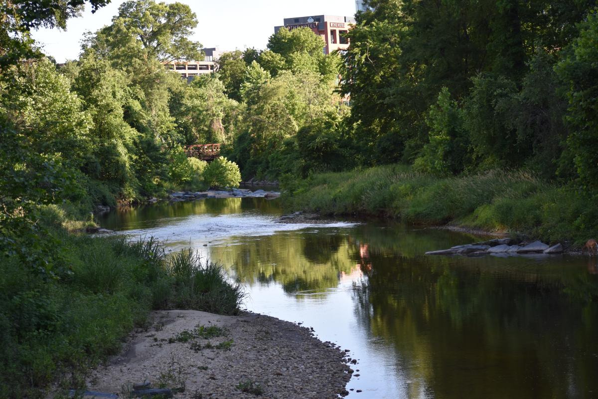 Campus creek