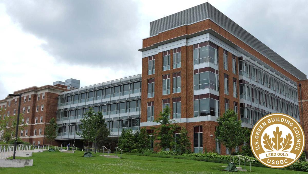 Physical Sciences LEED