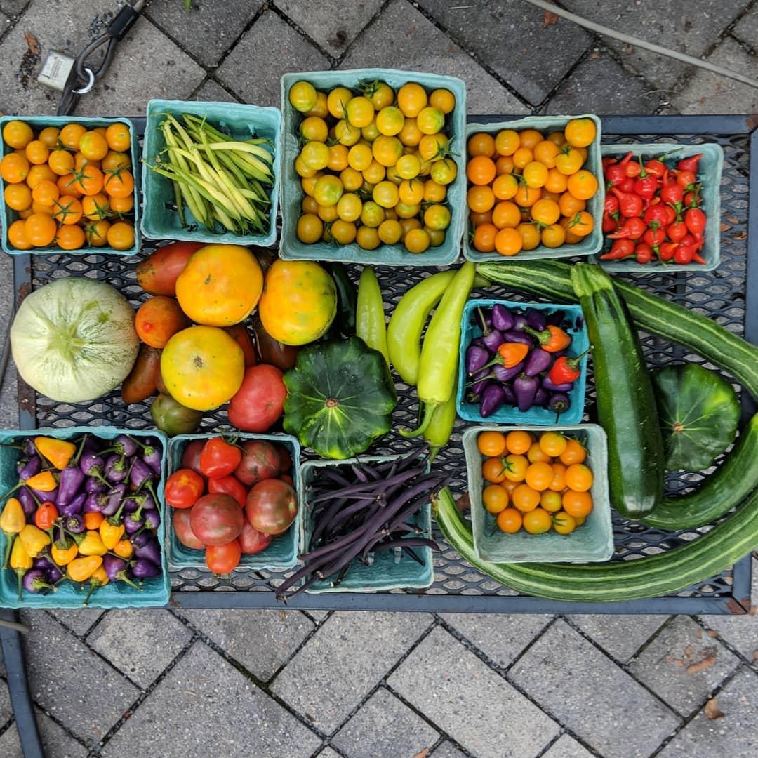 Food from the Community Learning Garden