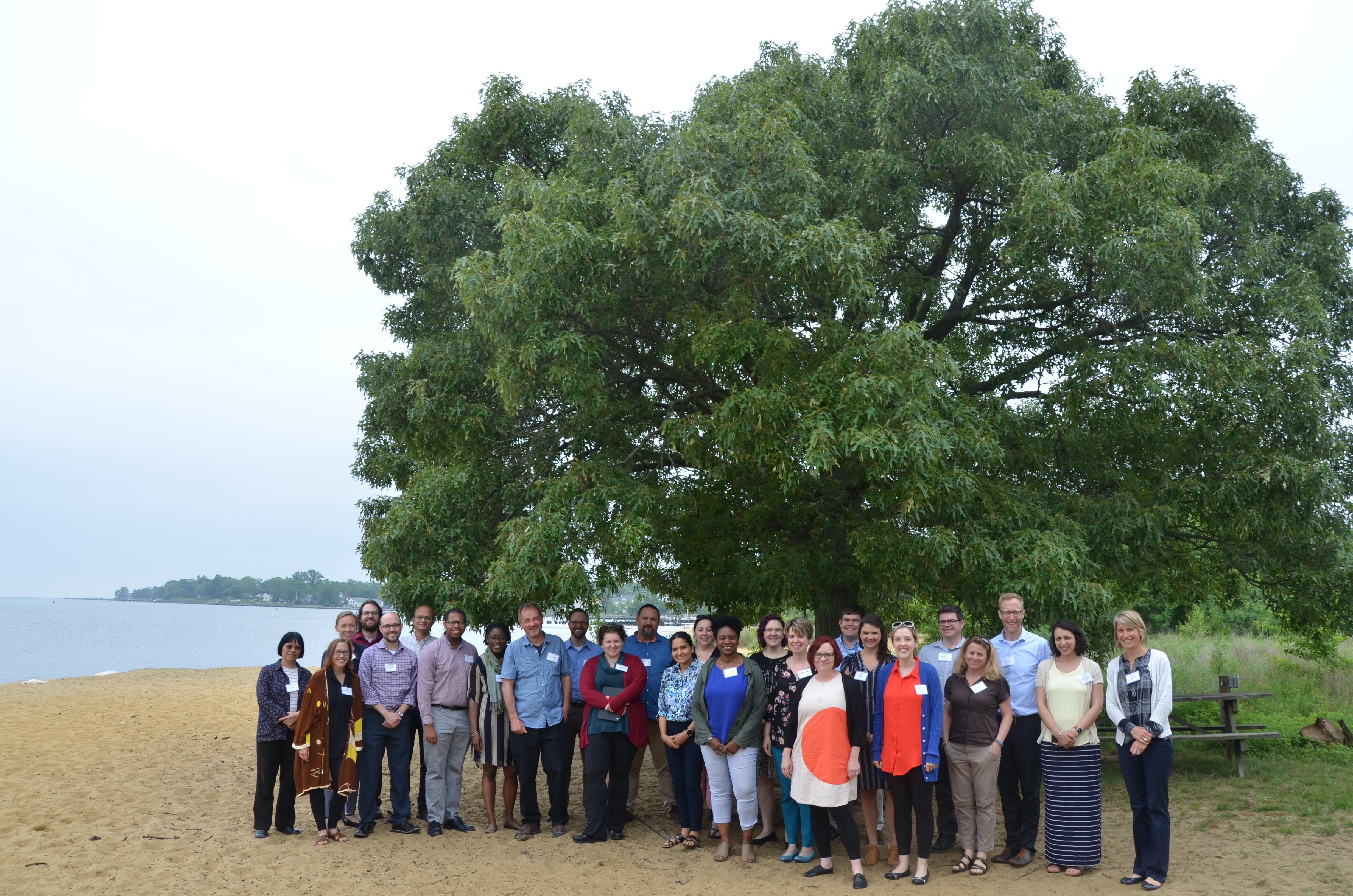Teaching Fellows outdoors by the bay and large tree
