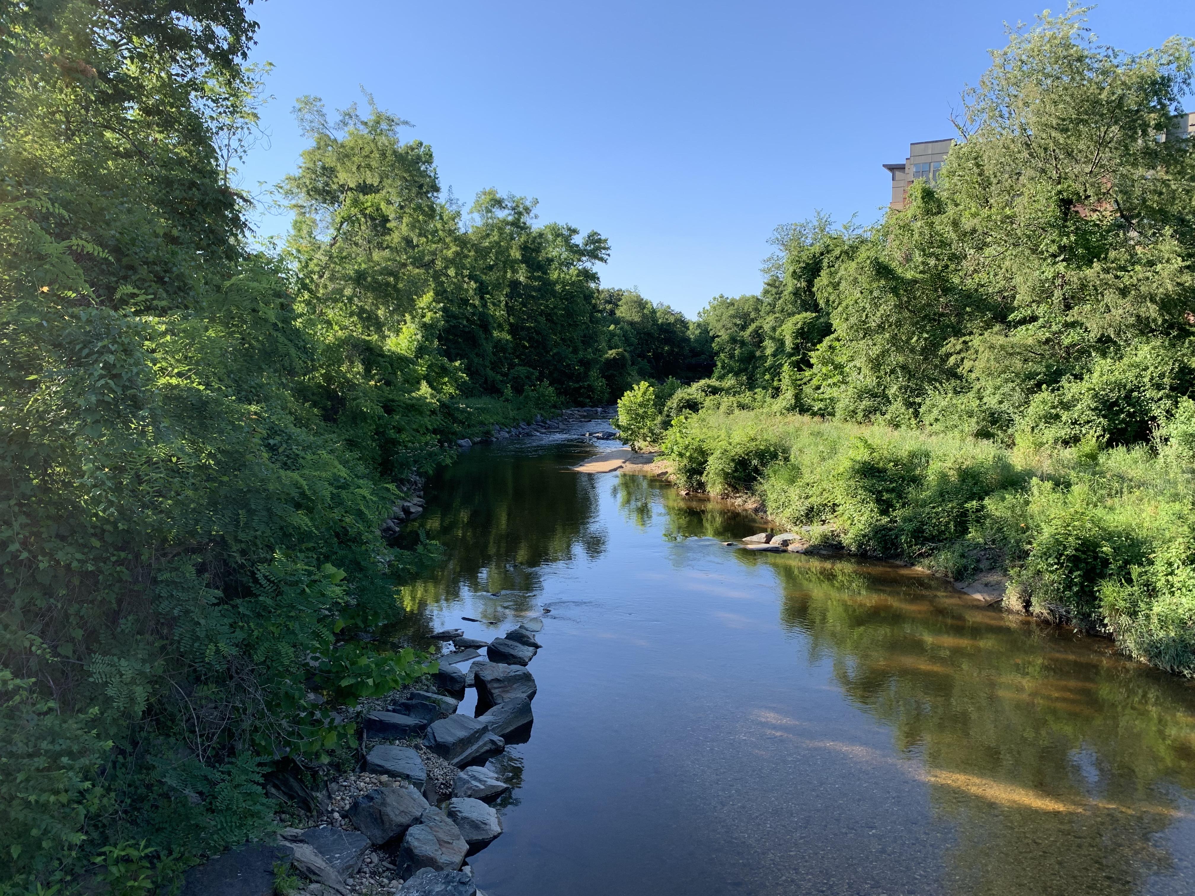 Creek on Campus