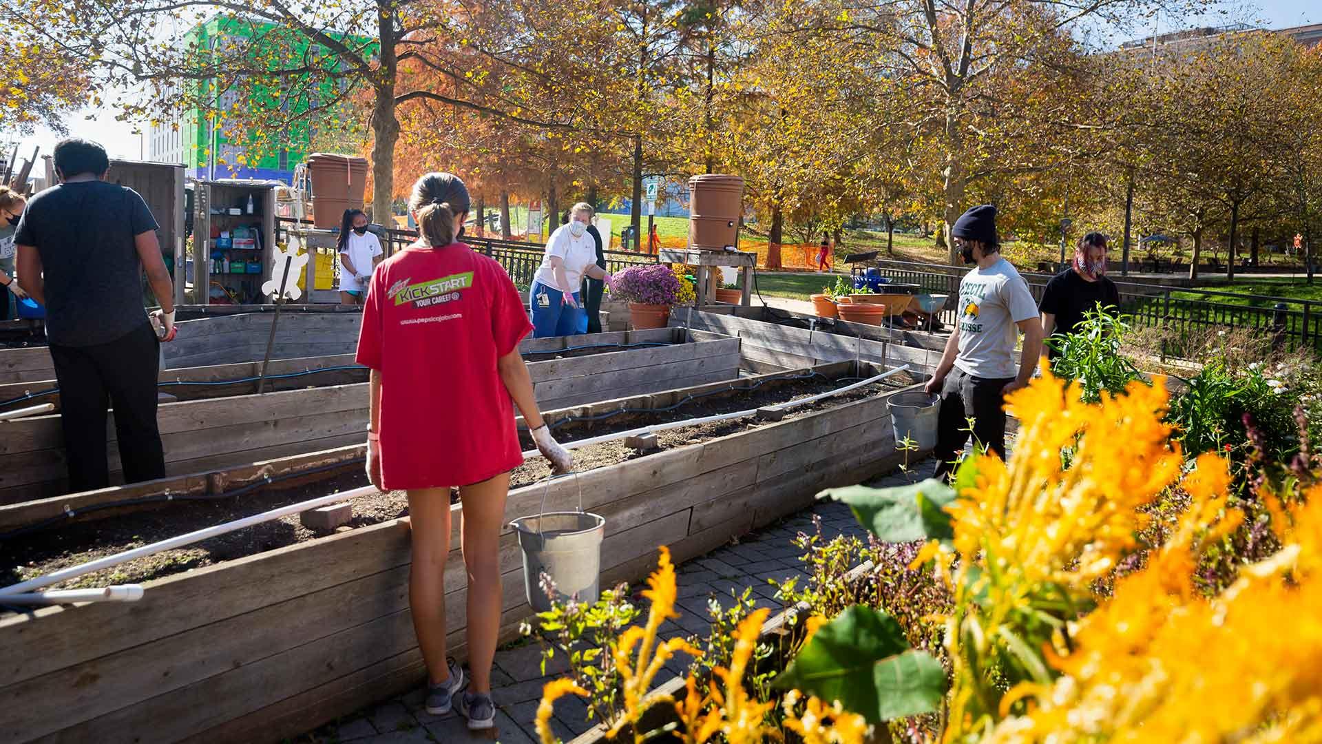 Volunteers in the community garden