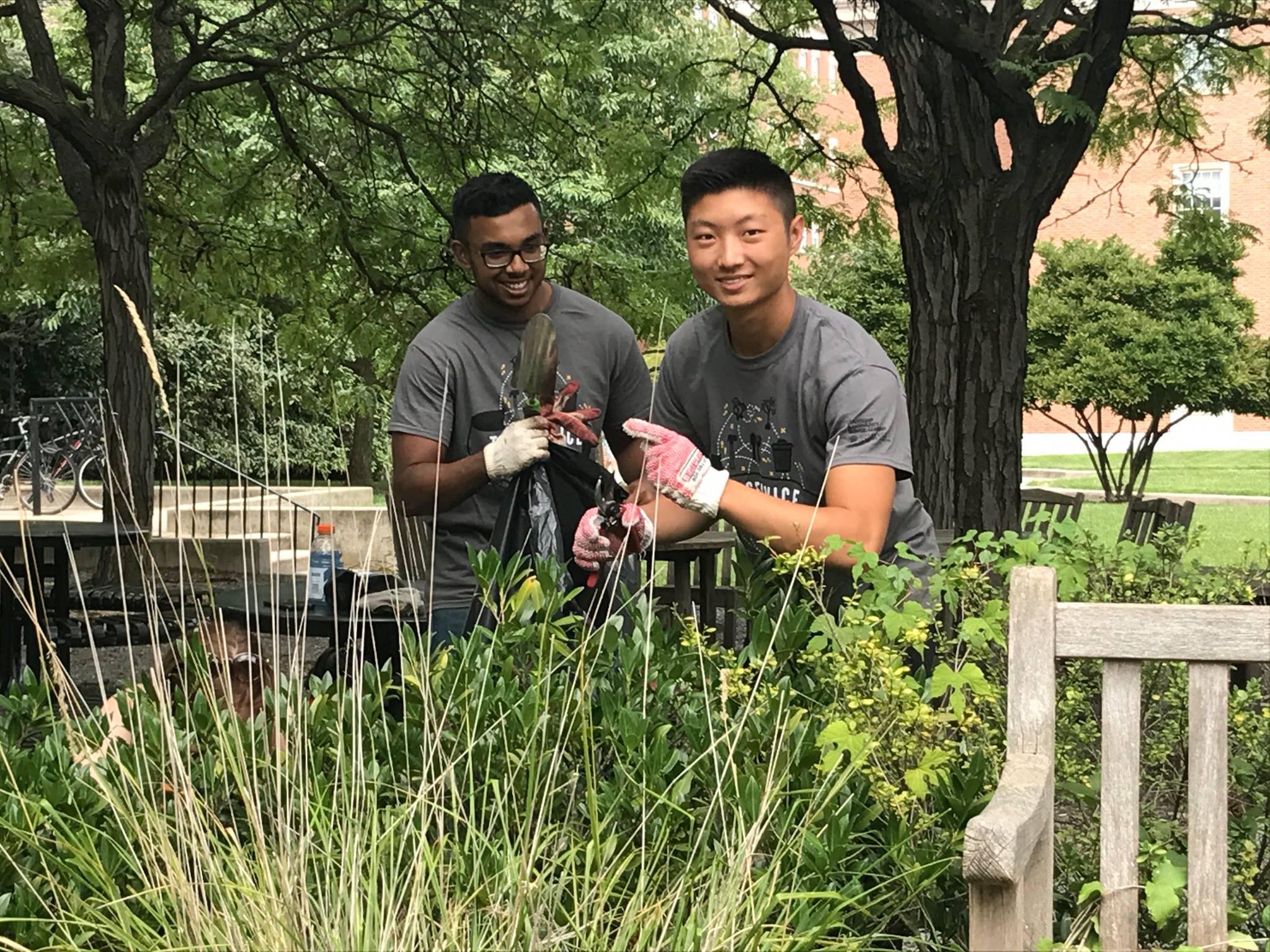 Students posing while working in a campus garden