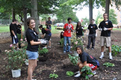 Students volunteering at a planting event on campus
