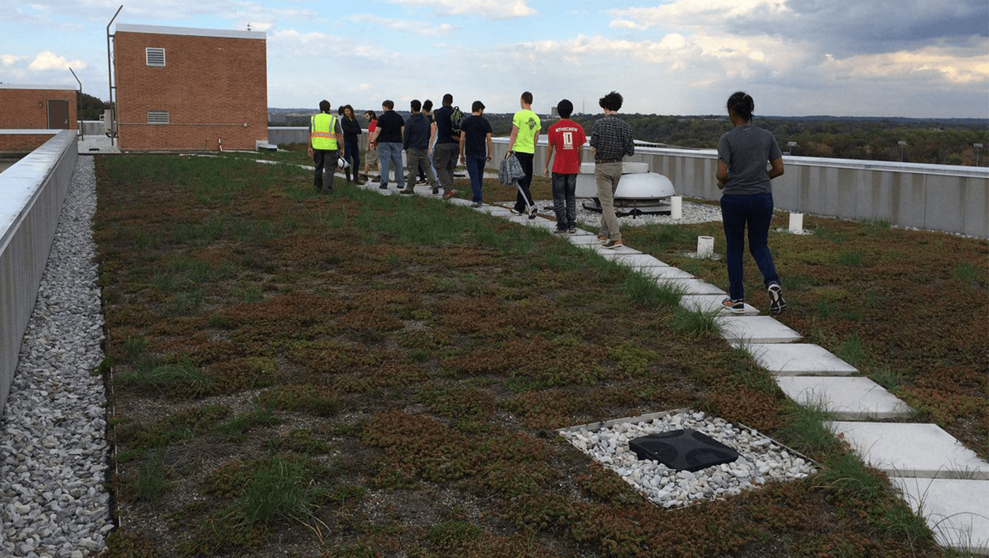 Cumberland Hall Green Roof