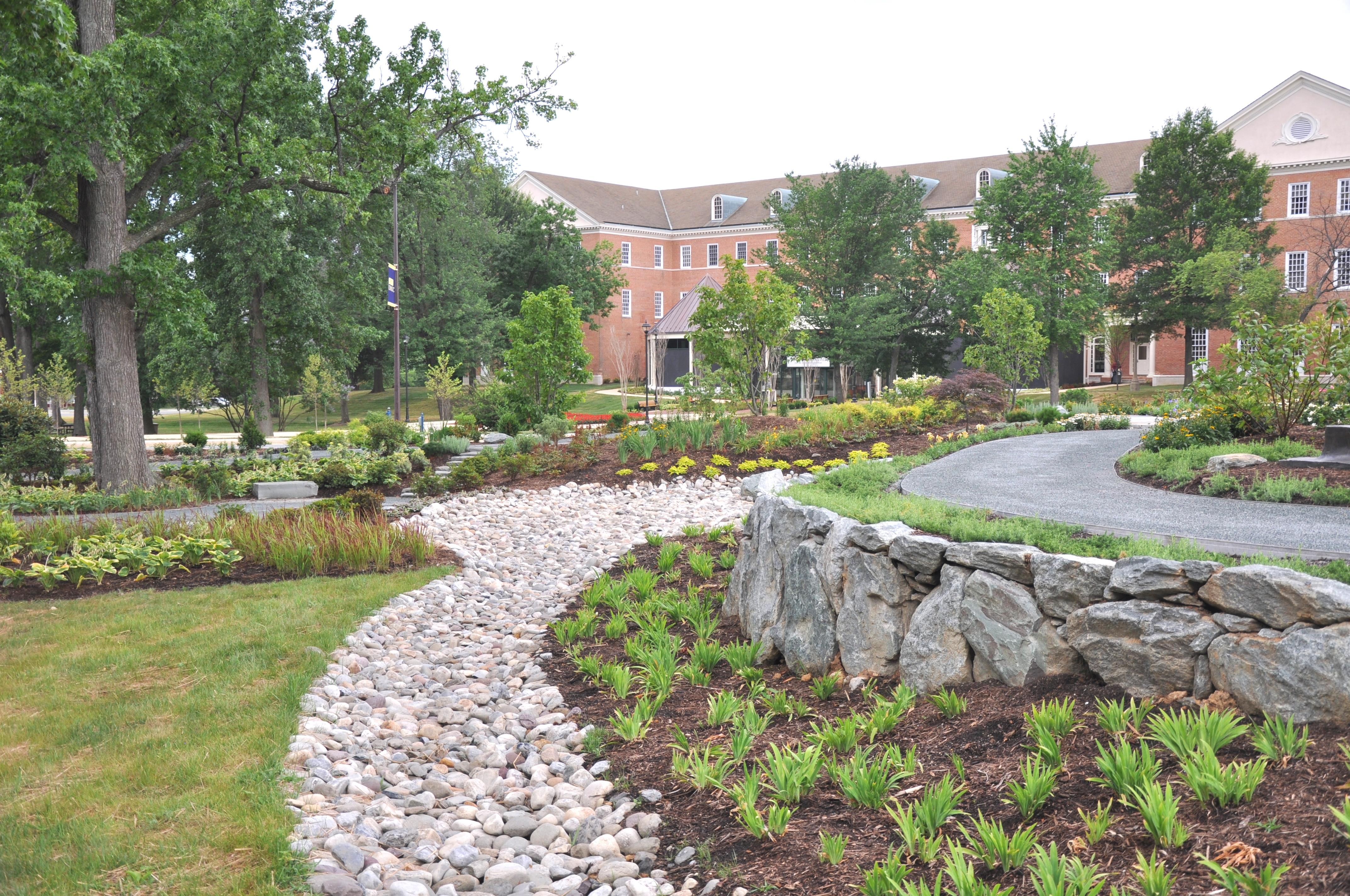 Introduction to Rain Gardens  University of Maryland Extension