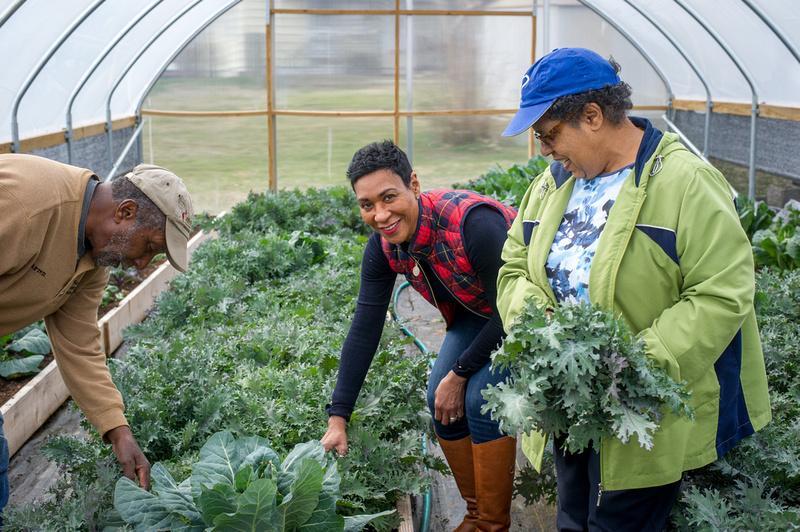 UMD community members gardening