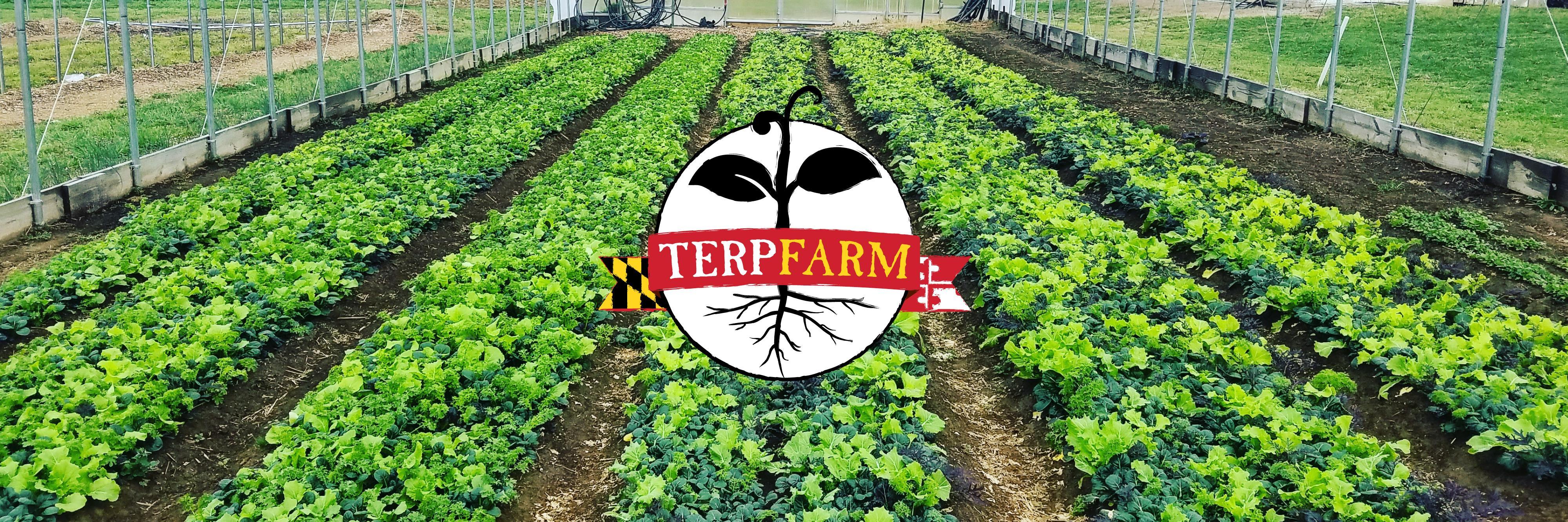 Terp Farm Logo