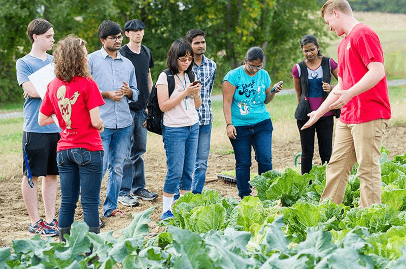 Tour Guide at Terp Farm