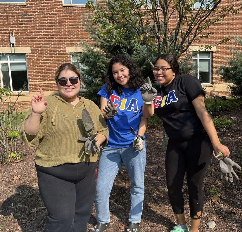 Students gardening