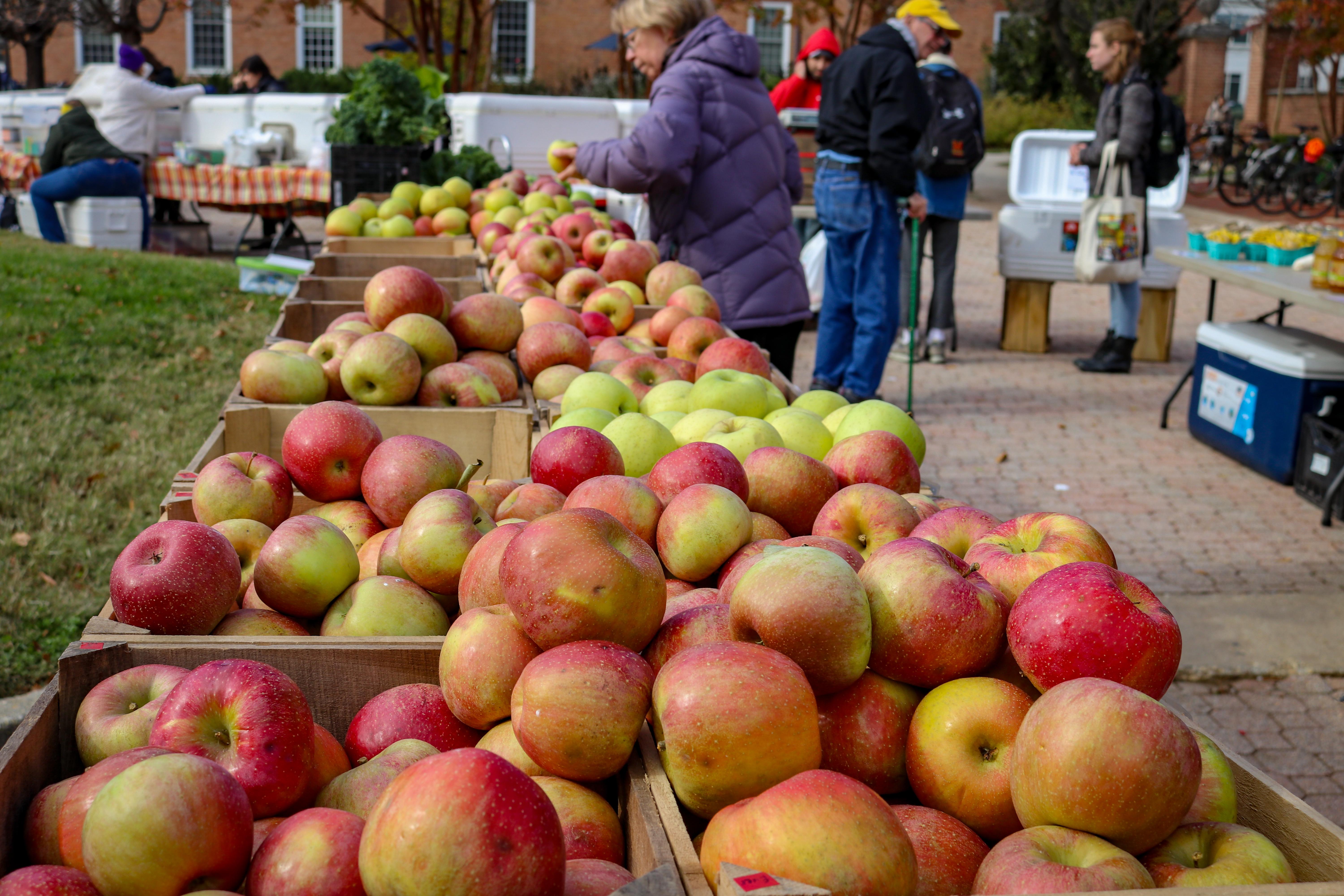 Apples at the Farmer's Market