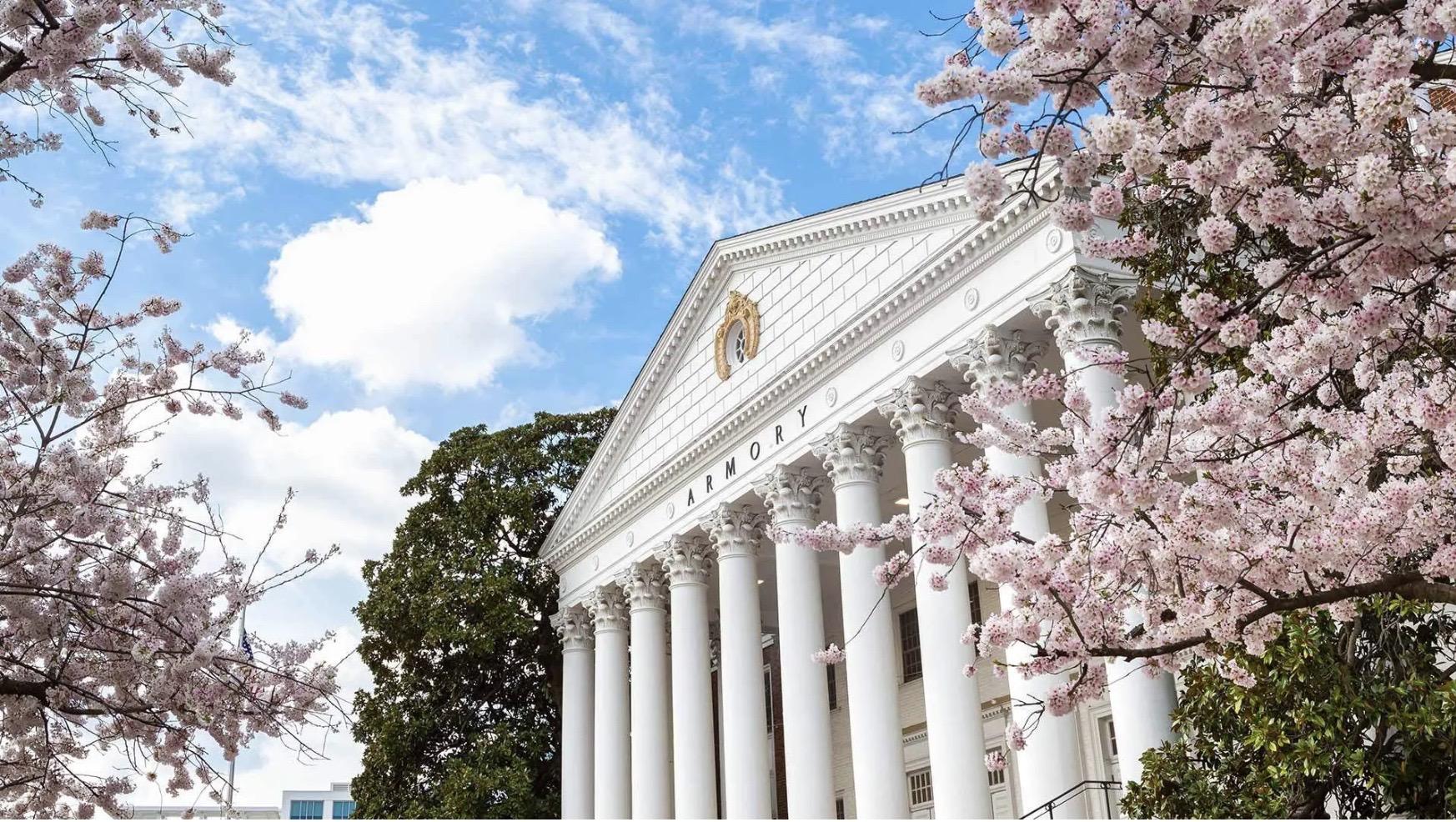 Cherry Blossoms on Campus. 