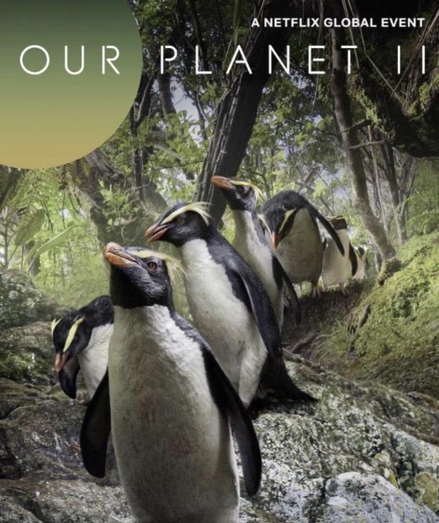 Our Planet cover image
