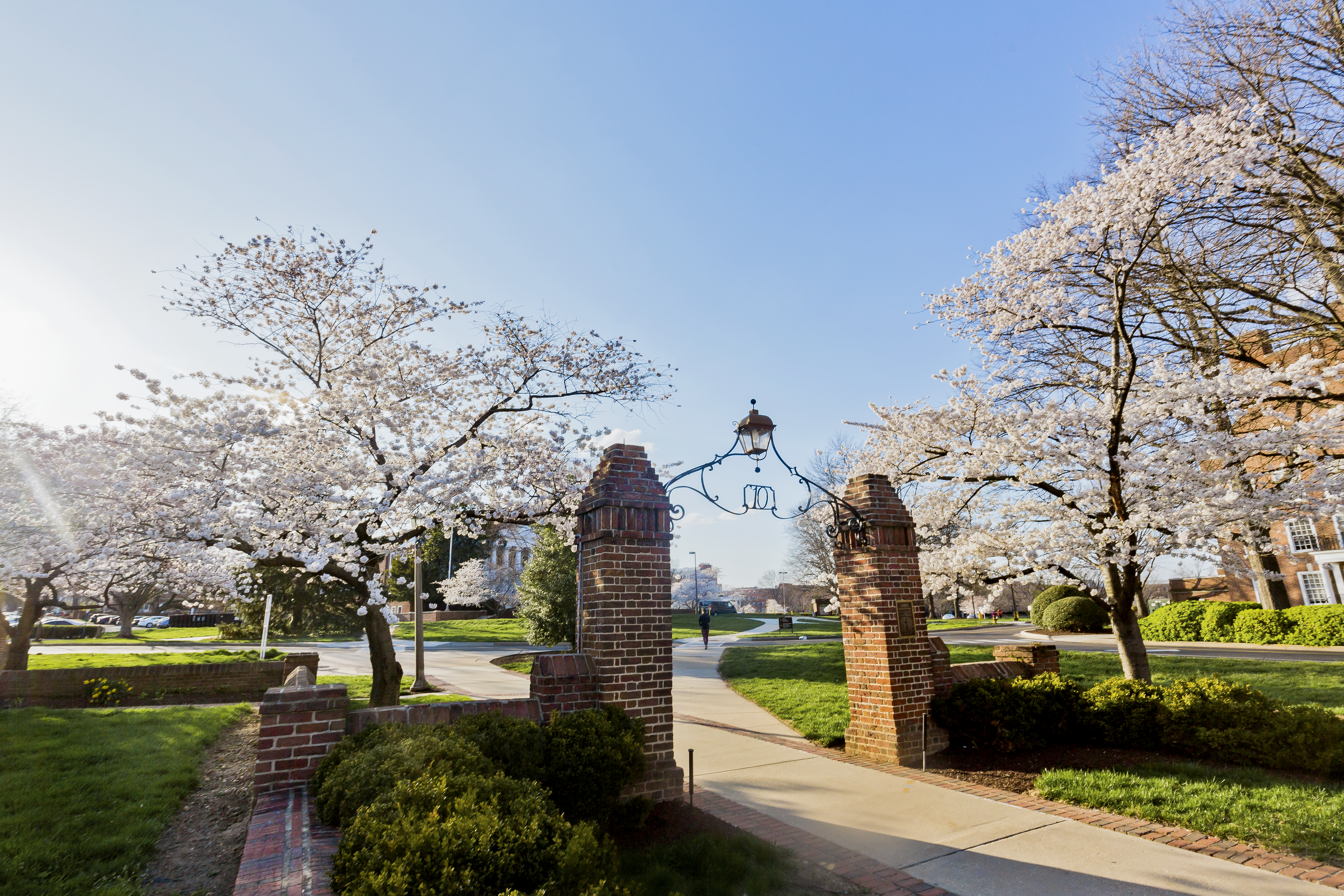 Gate with flowers