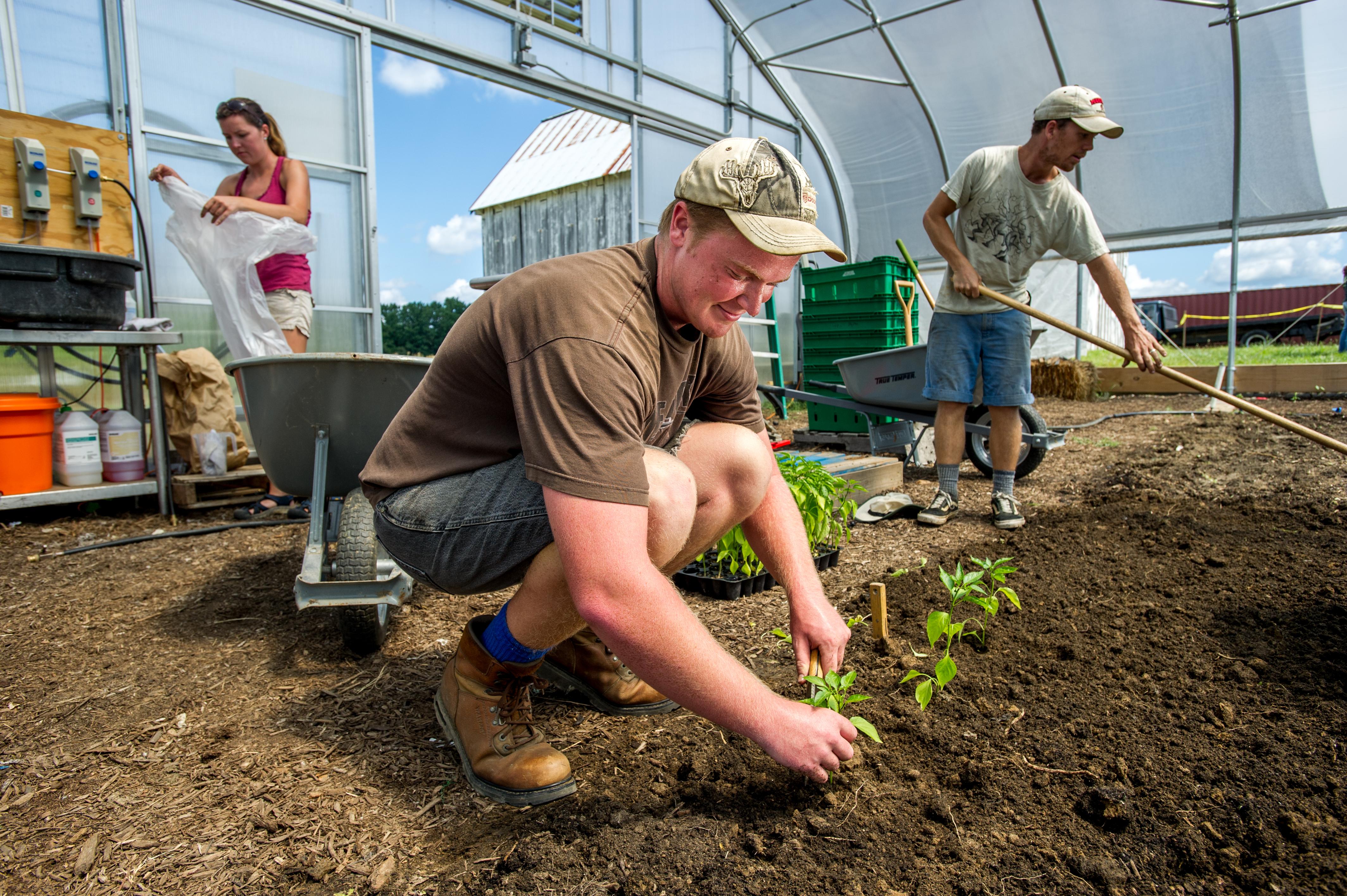 student terp farm