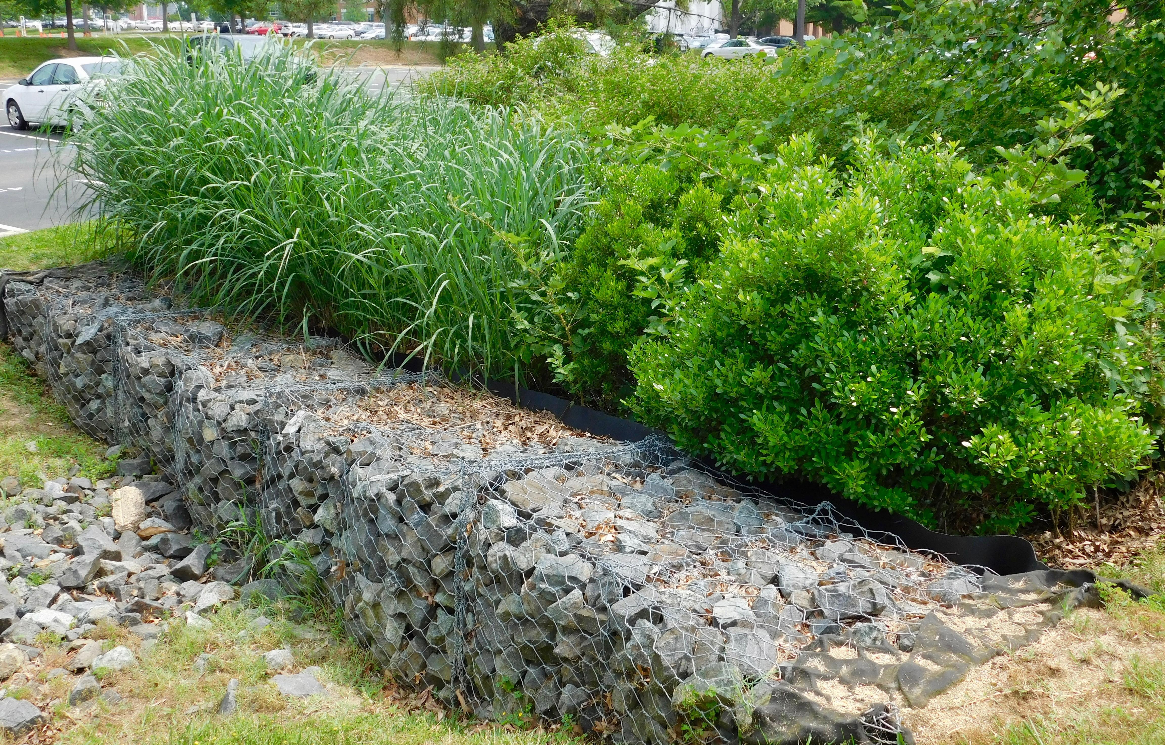 stormwater