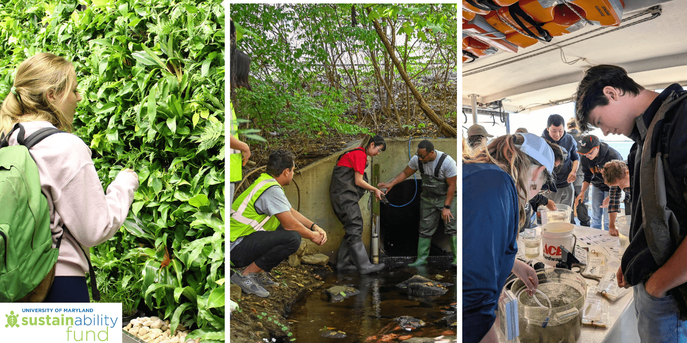 Three images (student at plant wall; students in waders in Campus Creek; students looking at marine organisms). Sustainability Fund logo