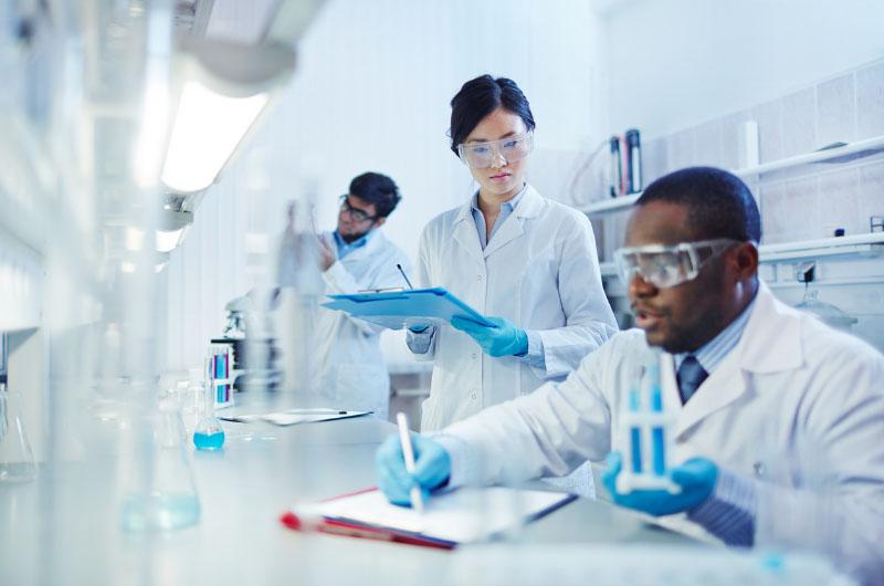 lab