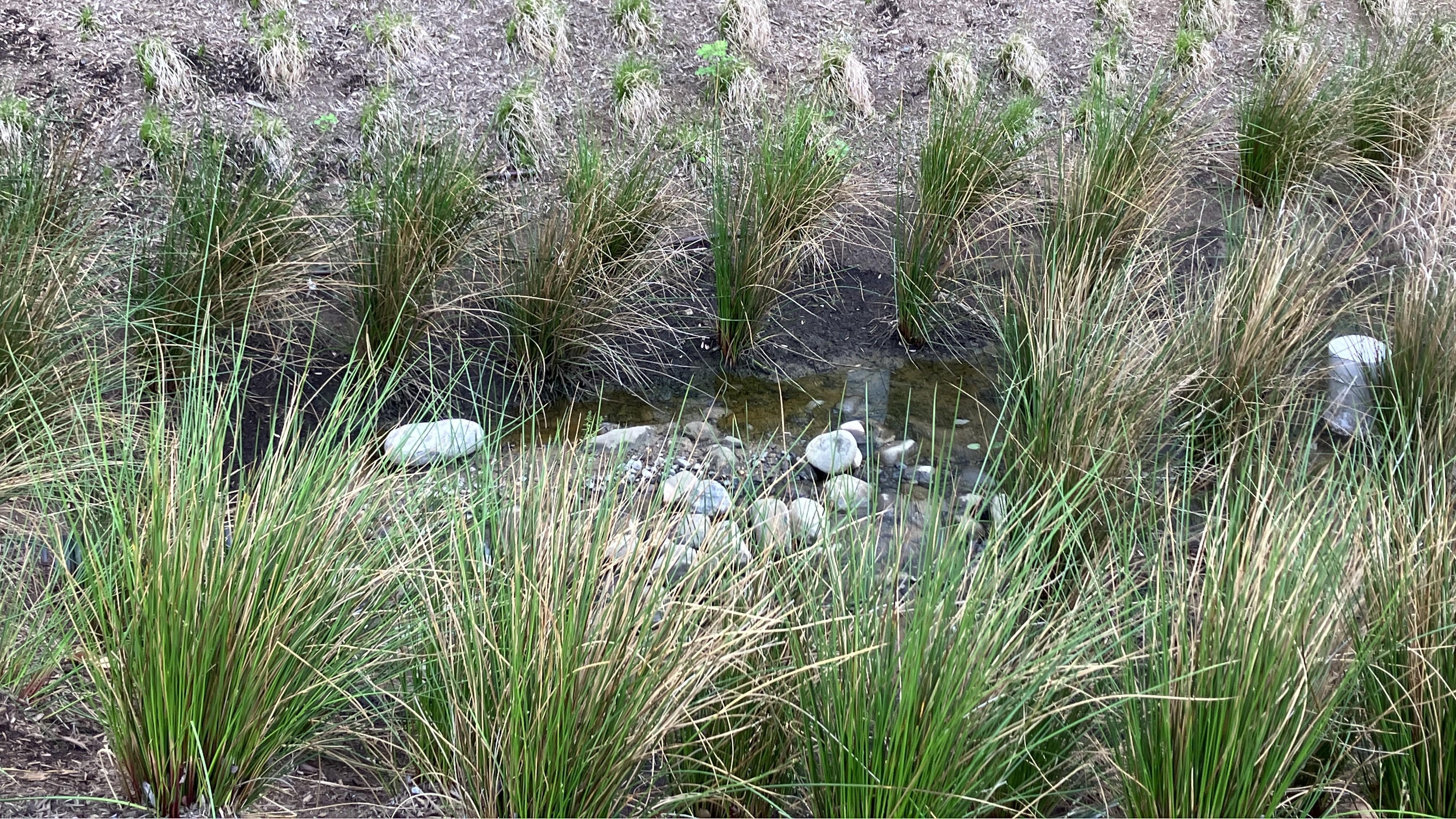 stormwater 16:9