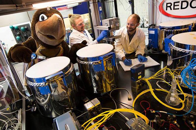 Testudo visiting a lab with lots of wires