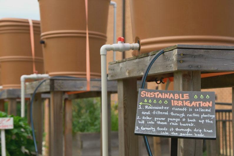 Sign at community learning garden about rainwater cisterns 