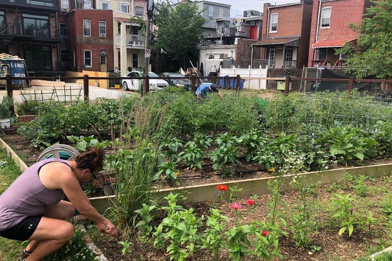 Urban community garden