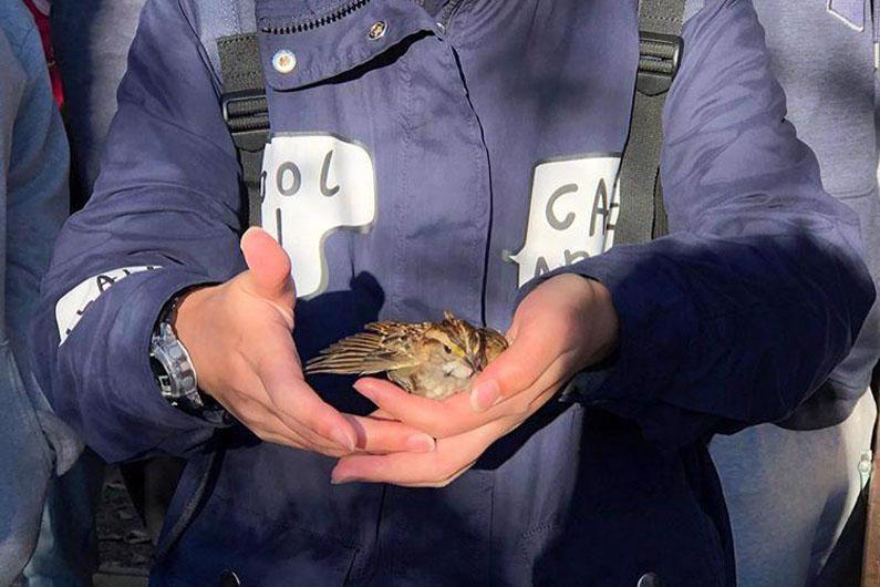 Student holding a bird