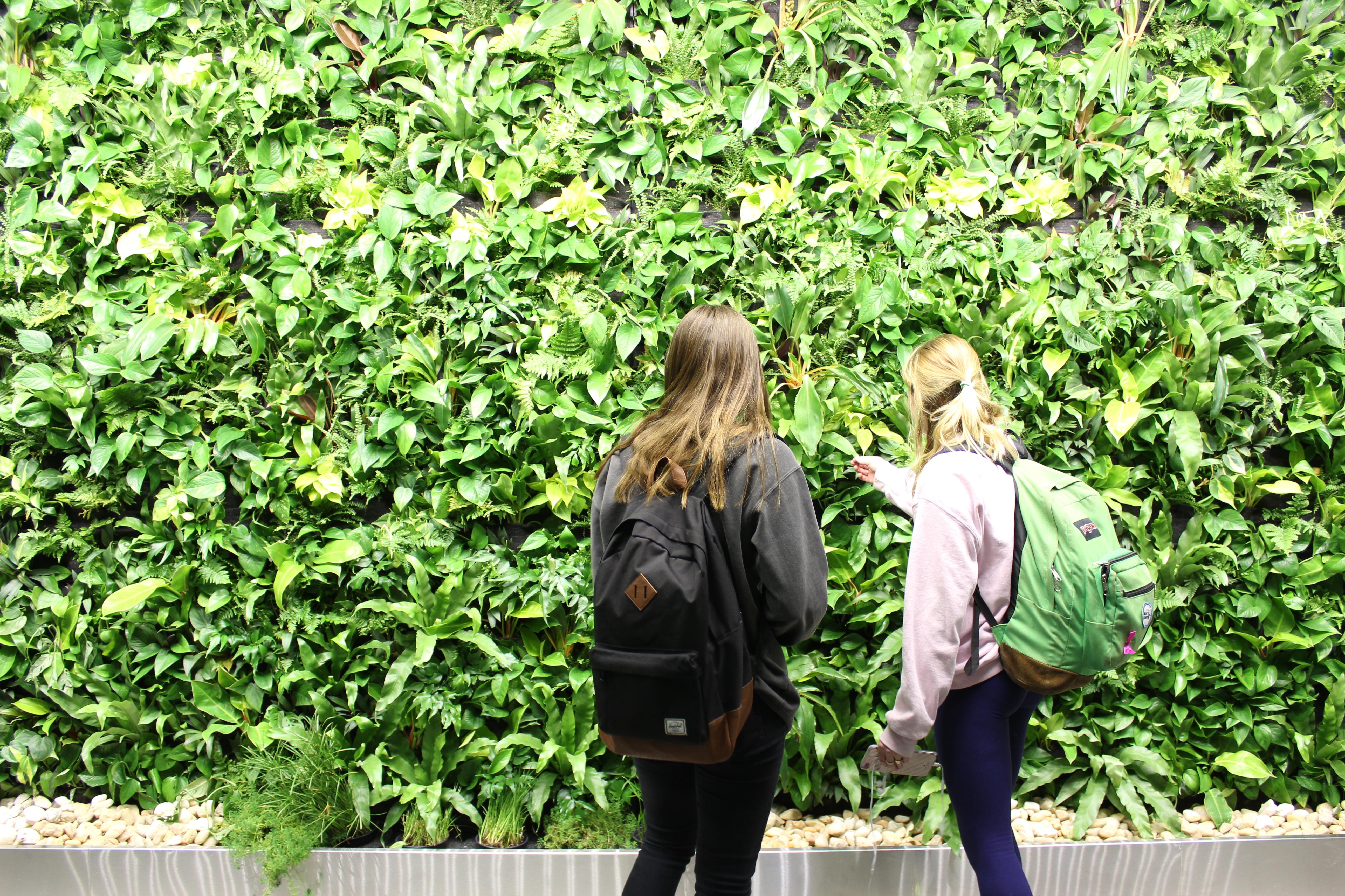 Biowall