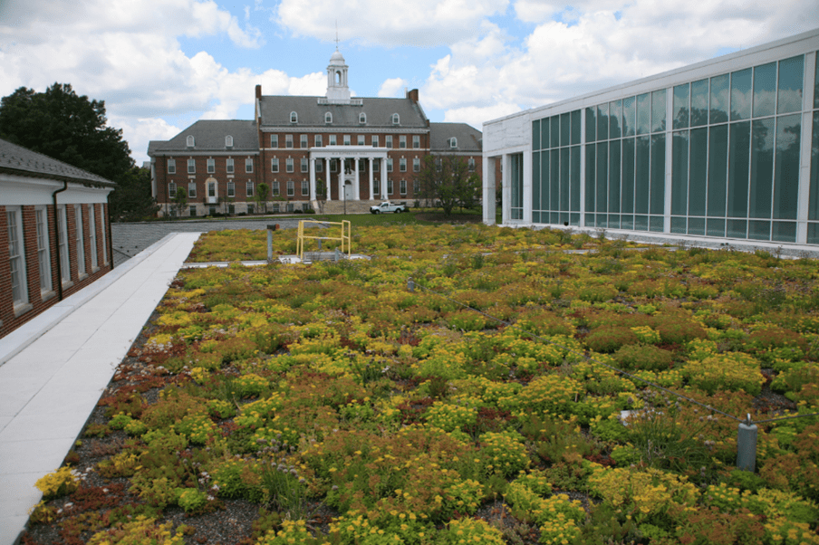 ESJ Green Roof
