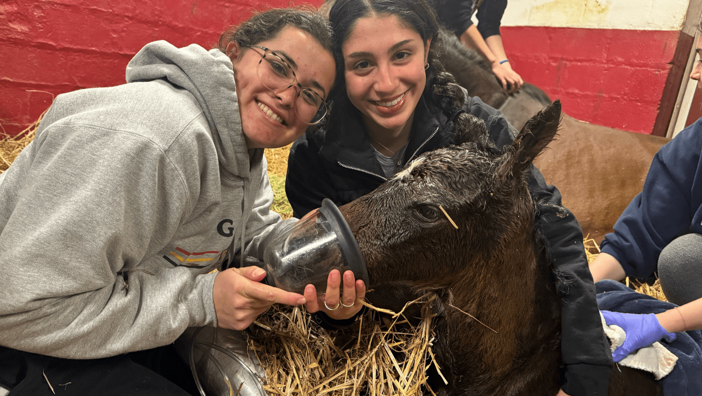 2 students holding up the head of a newborn foal on the campus farm