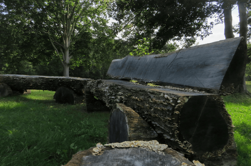 A log bench with green grass underneath and trees in background