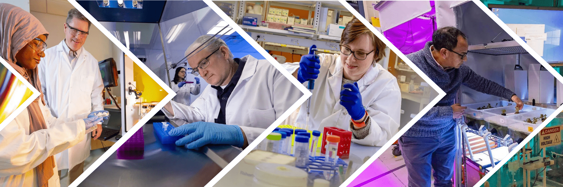 Researchers in UMD labs in arrow design