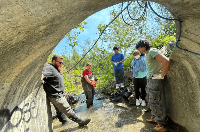 Five people stand in a stream doing data collection and monitoring on campus