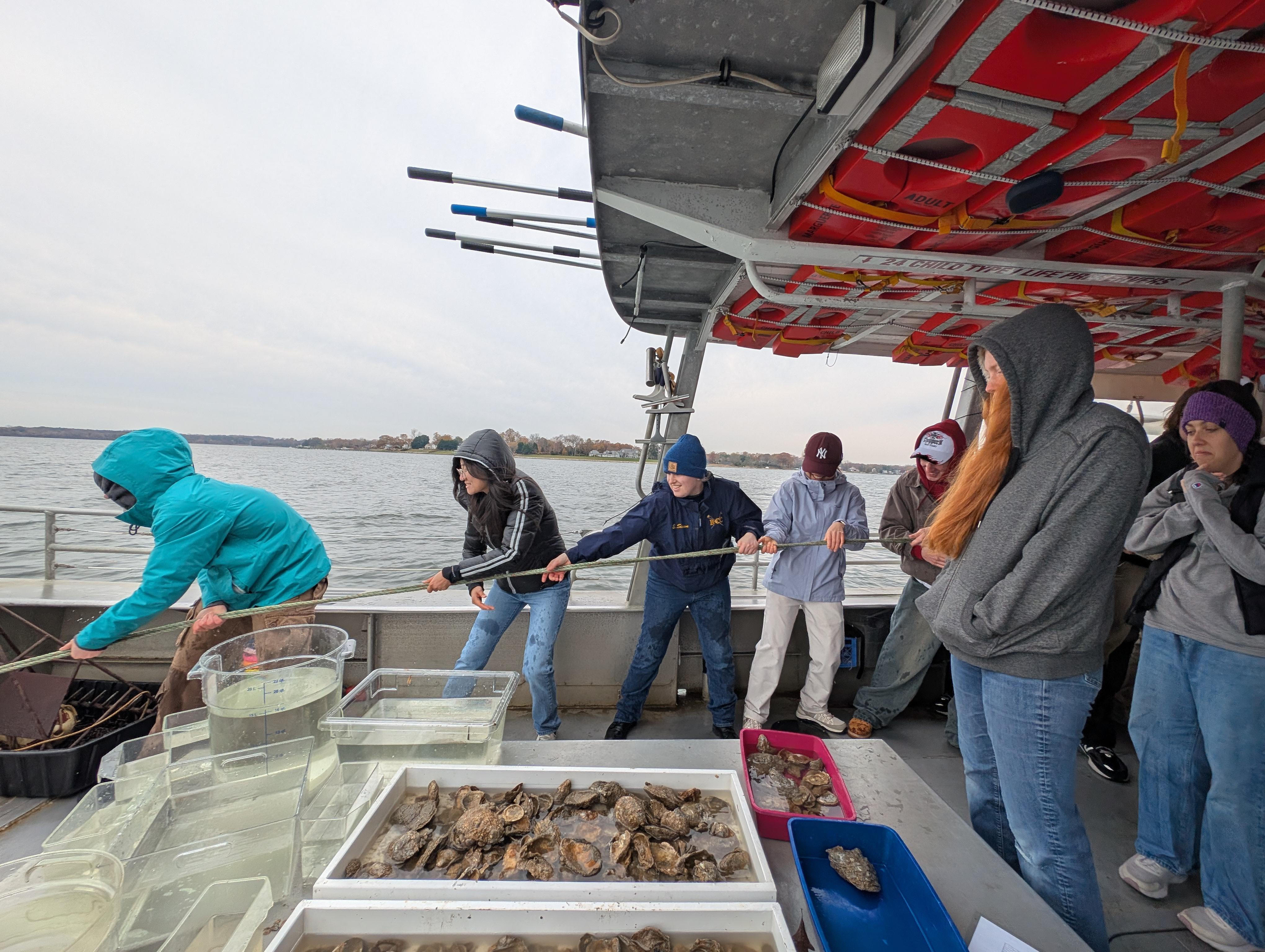 Students stand in a line on a boat pulling a rope from the water. There is a container of oyster shells in the foreground.