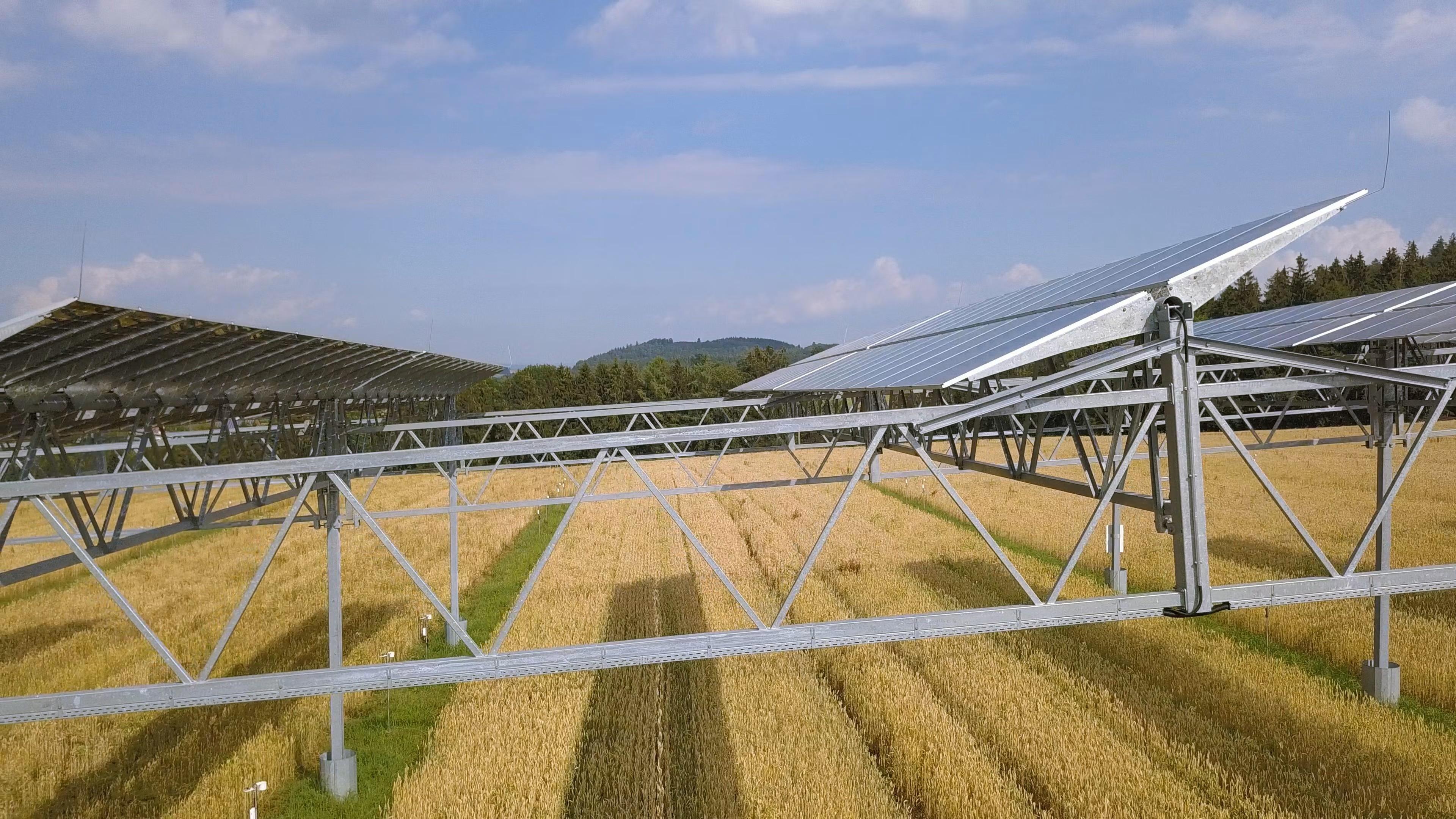 Solar panels over a crop field