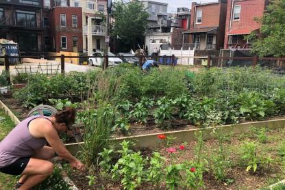 Urban community garden